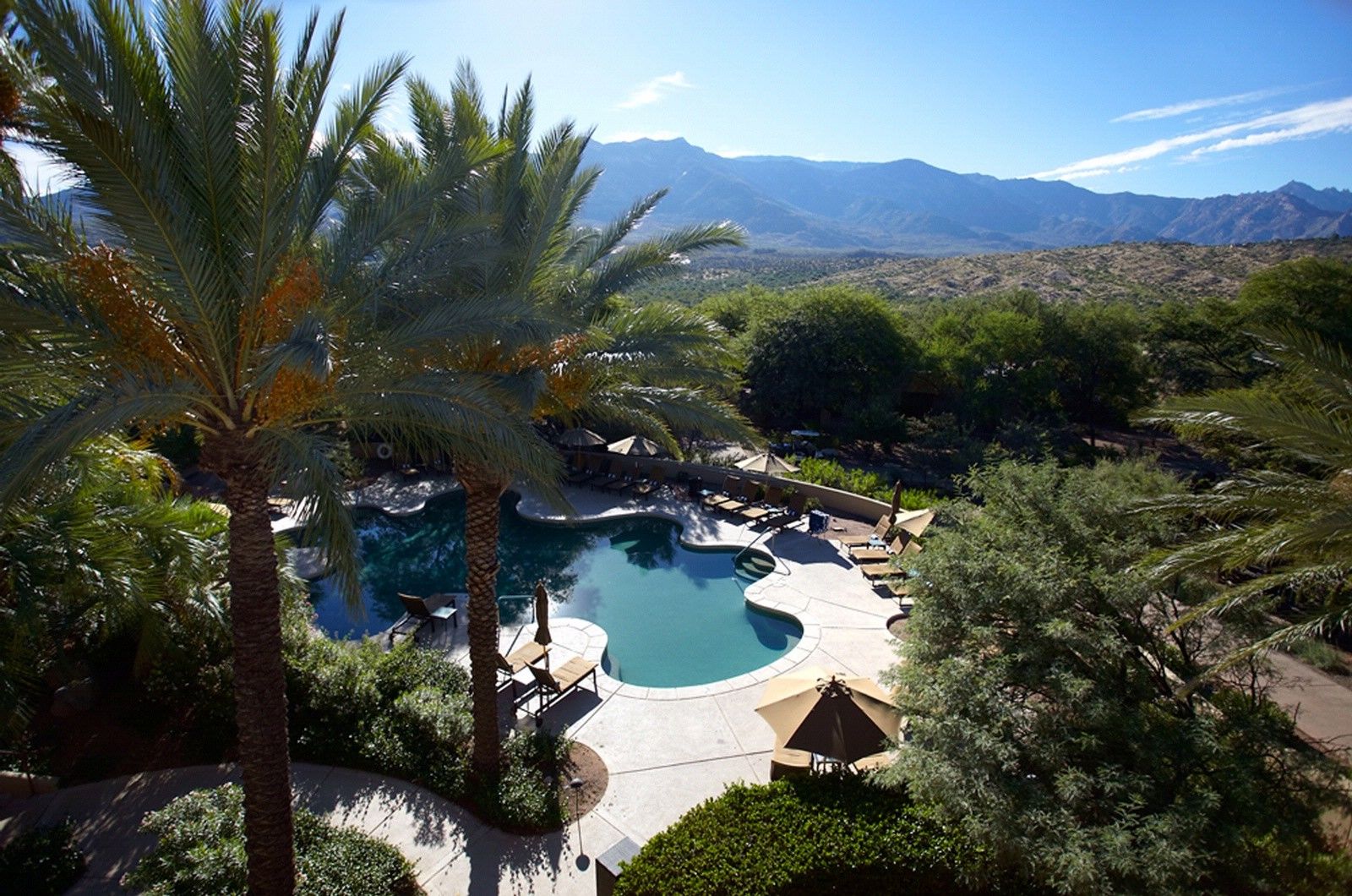 Miraval Resort & Spa (Adults Only) Catalina Удобства фото